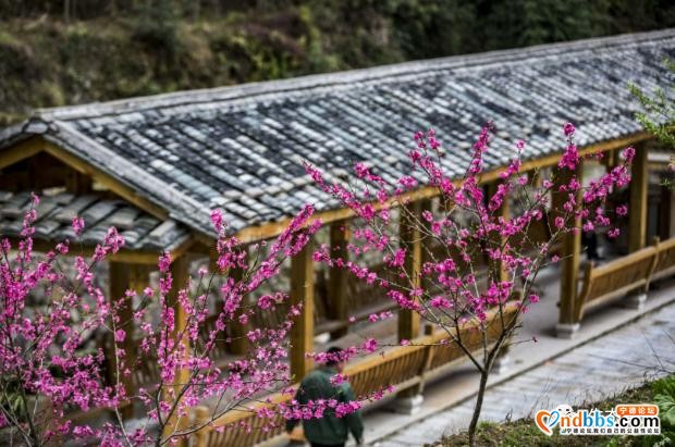快看！央视科教频道大型纪录片?《中国影像方志》周宁篇-33.jpg