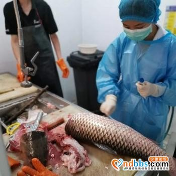 3112份样本均为阴性！！宁德市完成市场环境强化监测-3.jpg
