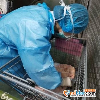 3112份样本均为阴性！！宁德市完成市场环境强化监测-2.jpg