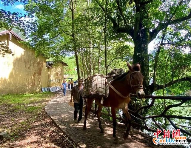 宁德：摆脱贫困！来看看闽东这只“弱鸟”如何飞起来的-11.jpg