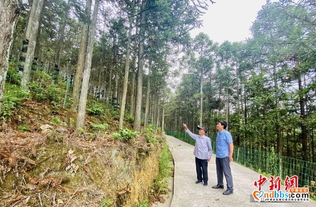 宁德：摆脱贫困！来看看闽东这只“弱鸟”如何飞起来的-23.jpg