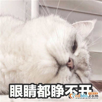 诚心交友啊98年 大四老学姐  平时都挺空的 日常无聊可以找-1.jpg