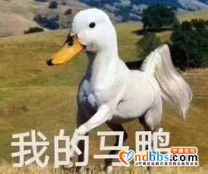 国家出手分对象？宁德还没结婚的注意啦-6.jpg