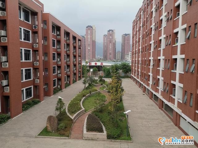 宁德五中2020年秋季招生简章-5.jpg