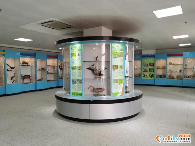 宁德五中2020年秋季招生简章-12.jpg