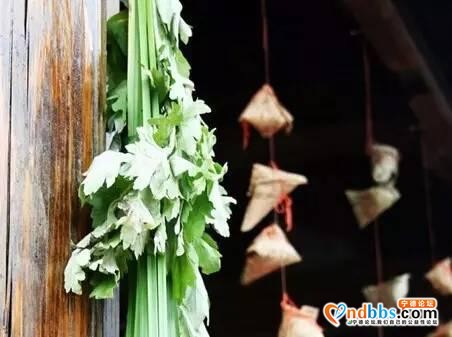 宁德：宁师二附小2020年端午节主题教育活动-2.jpg