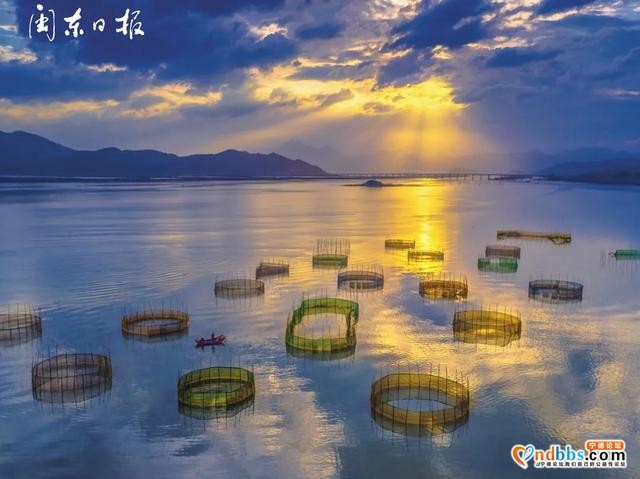 宁德：这里的海那么美，民宿也那么美，怎不叫人留下来-5.jpg