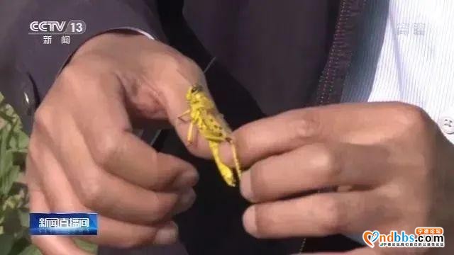 再过几个小时，2020上半年就要结束了...-5.jpg