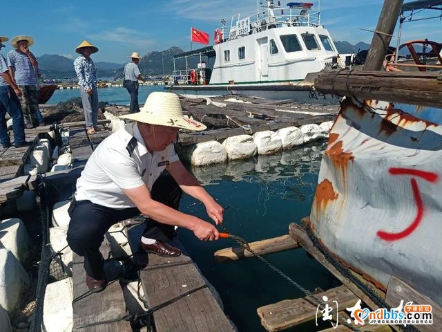 蕉城区海洋与渔业局：坚守在一线 奋力打硬仗-2.jpg