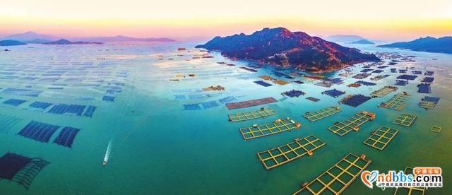 亮丽、整洁、有序，升级版的“海上田园”好靓-2.jpg