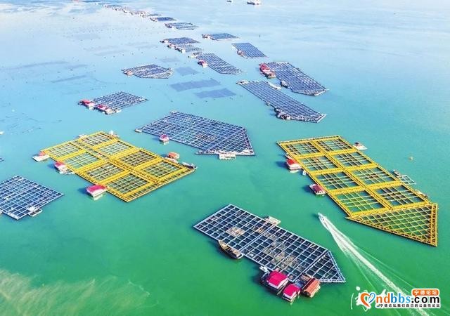 亮丽、整洁、有序，升级版的“海上田园”好靓-4.jpg