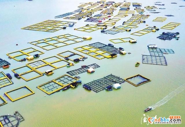 亮丽、整洁、有序，升级版的“海上田园”好靓-5.jpg