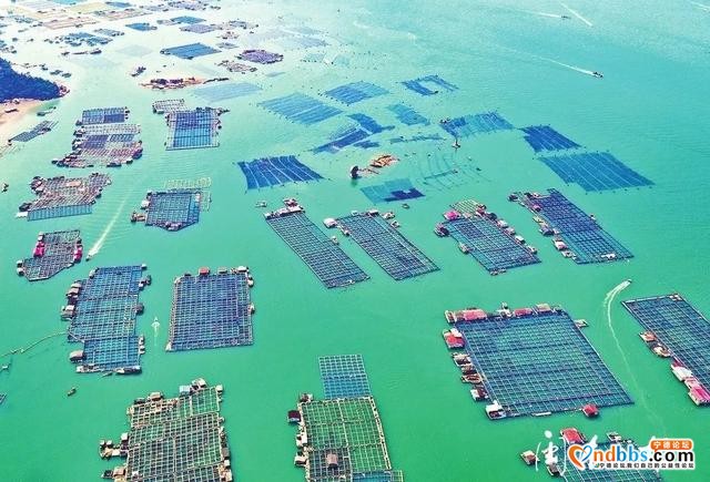亮丽、整洁、有序，升级版的“海上田园”好靓-6.jpg
