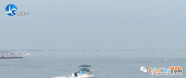 我爱大美蕉城！步步皆景绿意盎然，一座一直在生长的城市-21.jpg