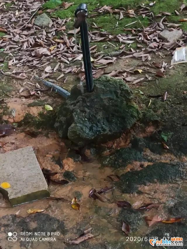 文明宁德随手拍丨有人聚众赌博？举报他-2.jpg