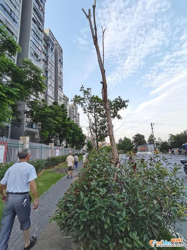 宁德新闻红黑榜丨乱停车的你，被点名了！还有这些不文明行为被曝光了-16.jpg