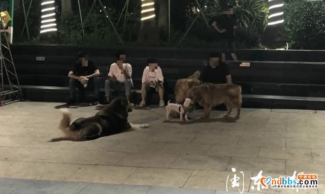 宁德新闻红黑榜丨乱停车的你，被点名了！还有这些不文明行为被曝光了-20.jpg
