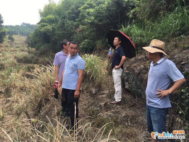 蕉城：打造“两园两基地”科技助力南岗产业发展-3.jpg