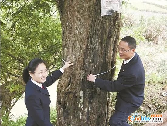 宁德市人民检察院向市人大常委会报告公益诉讼工作-2.jpg