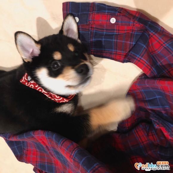 有没有人知道天茂爱尚100健身房季卡多少钱 或者有没有人想转-1.jpg