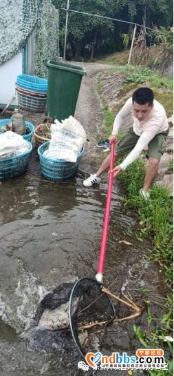 东侨：河湖卫士｜东湖巡护员张立春：兢兢业业护东湖-1.jpg