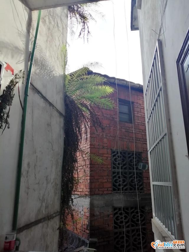 宁德：曝光！这些老旧小区诸多问题，我们要点名批评-12.jpg