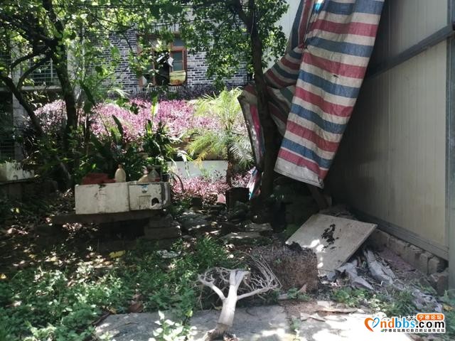 宁德：曝光！这些老旧小区诸多问题，我们要点名批评-37.jpg