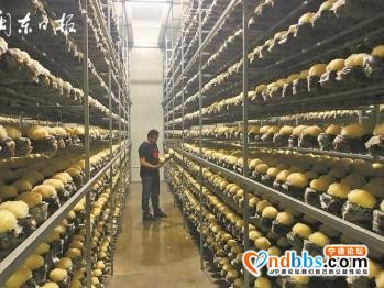 宁德市古田县：乡村振兴 一个村都不能少-2.jpg