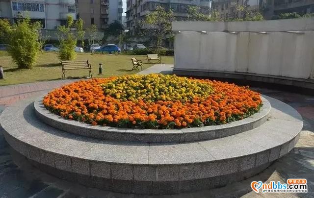 鸡角弄中的情怀：宁德第一个共产党员-7.jpg