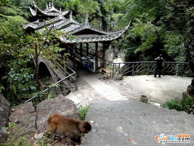 定了！宁德仅一个！周宁陈峭景区荣获2020年“清新福建·气候福地”避暑清凉福地，走起-14.jpg