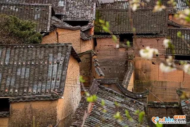 定了！宁德仅一个！周宁陈峭景区荣获2020年“清新福建·气候福地”避暑清凉福地，走起-11.jpg
