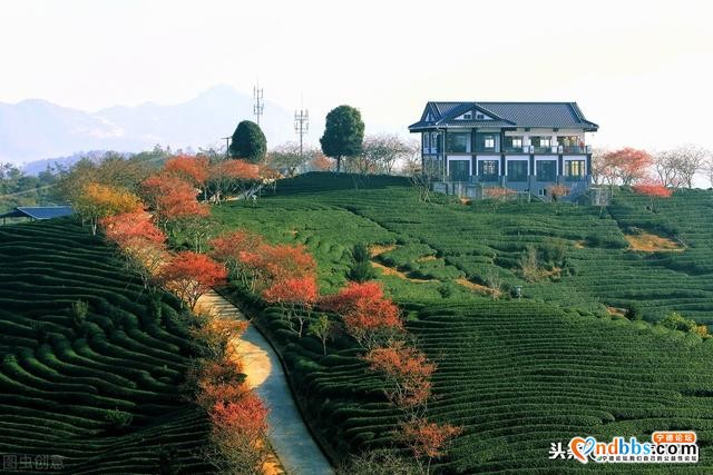 福建宁德的一个小县 GDP竟超196亿 人口才42万-2.jpg
