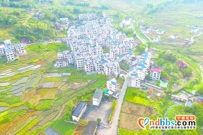 福建宁德：新房林立 村民富裕-1.jpg