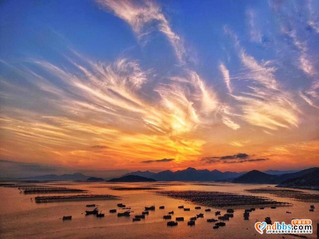 看宁德：人间“最美海上花园”-9.jpg