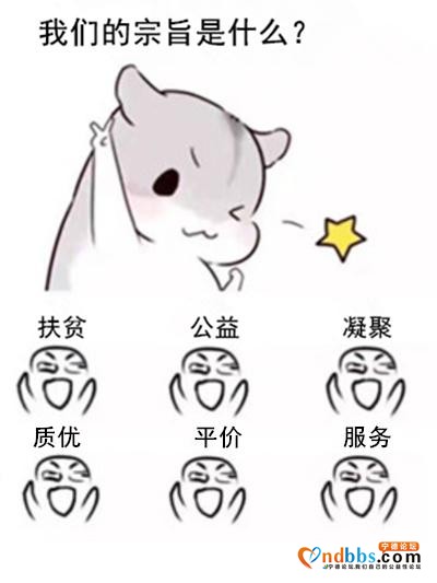 一颗来自周宁高山土豆的自白：看我72变...-18.jpg