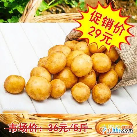 一颗来自周宁高山土豆的自白：看我72变...-16.jpg