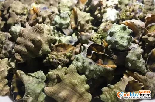宁德考生请注意！离别前，用脚步再一次丈量你的家乡-22.jpg