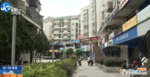 蕉南街道鹏中片区创城工作成效如何？跟着区领导去看看-4.jpg