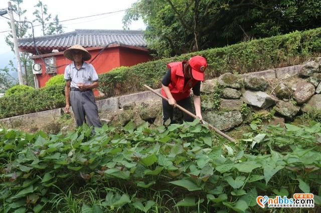 蕉城金涵：开展关爱孤寡老人志愿服务活动-1.jpg