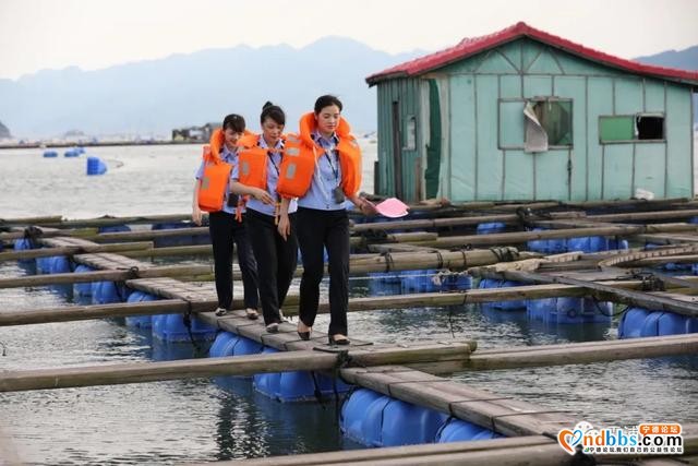 【故事】宁德霞浦：聚焦出入境“最美警花”的一天（963）-1.jpg