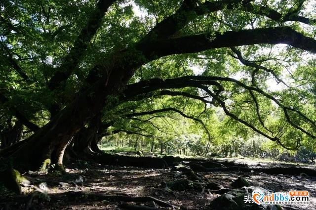 这边是山，那边是海——宁德旅游攻略-11.jpg