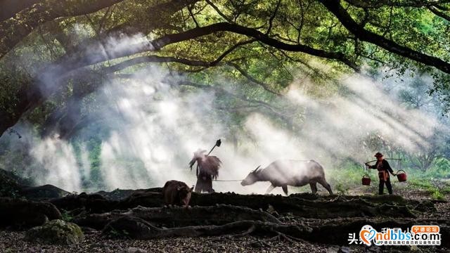 这边是山，那边是海——宁德旅游攻略-9.jpg