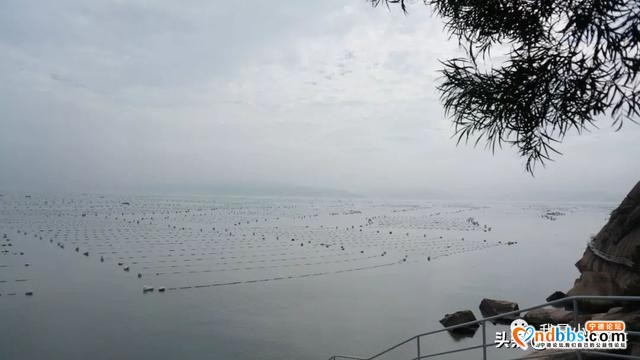 这边是山，那边是海——宁德旅游攻略-23.jpg