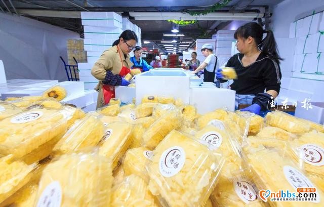 宁德：脱贫攻坚 | 我市大力推动农村电子商务体系建设，农村电商与扶贫攻坚同频共振-2.jpg