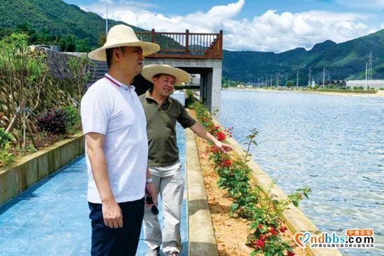 蕉城区锲而不舍治灾河 雁乐溪久久为功见成效-2.jpg