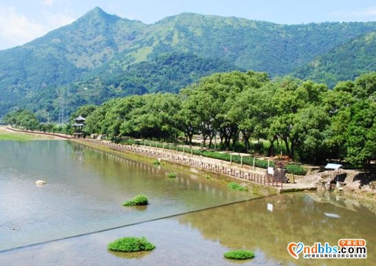 蕉城区锲而不舍治灾河 雁乐溪久久为功见成效-1.jpg