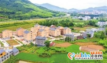 宁德柘荣着力走好具有闽东特色柘荣亮点的乡村振兴路-1.jpg