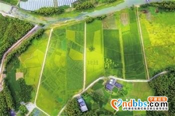 宁德柘荣着力走好具有闽东特色柘荣亮点的乡村振兴路-6.jpg