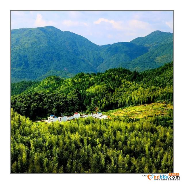 蕉城：看桃花溪村别样“红”-1.jpg