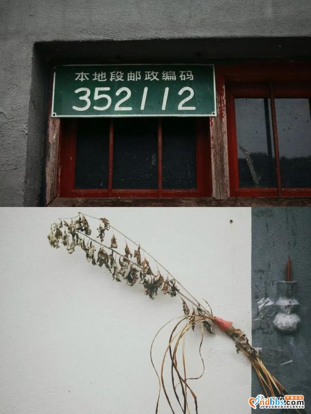 蕉城：看桃花溪村别样“红”-2.jpg
